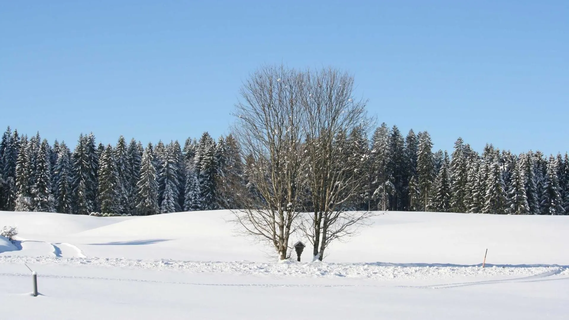 Apartment Haus Allgaeu Ruh Goerisried