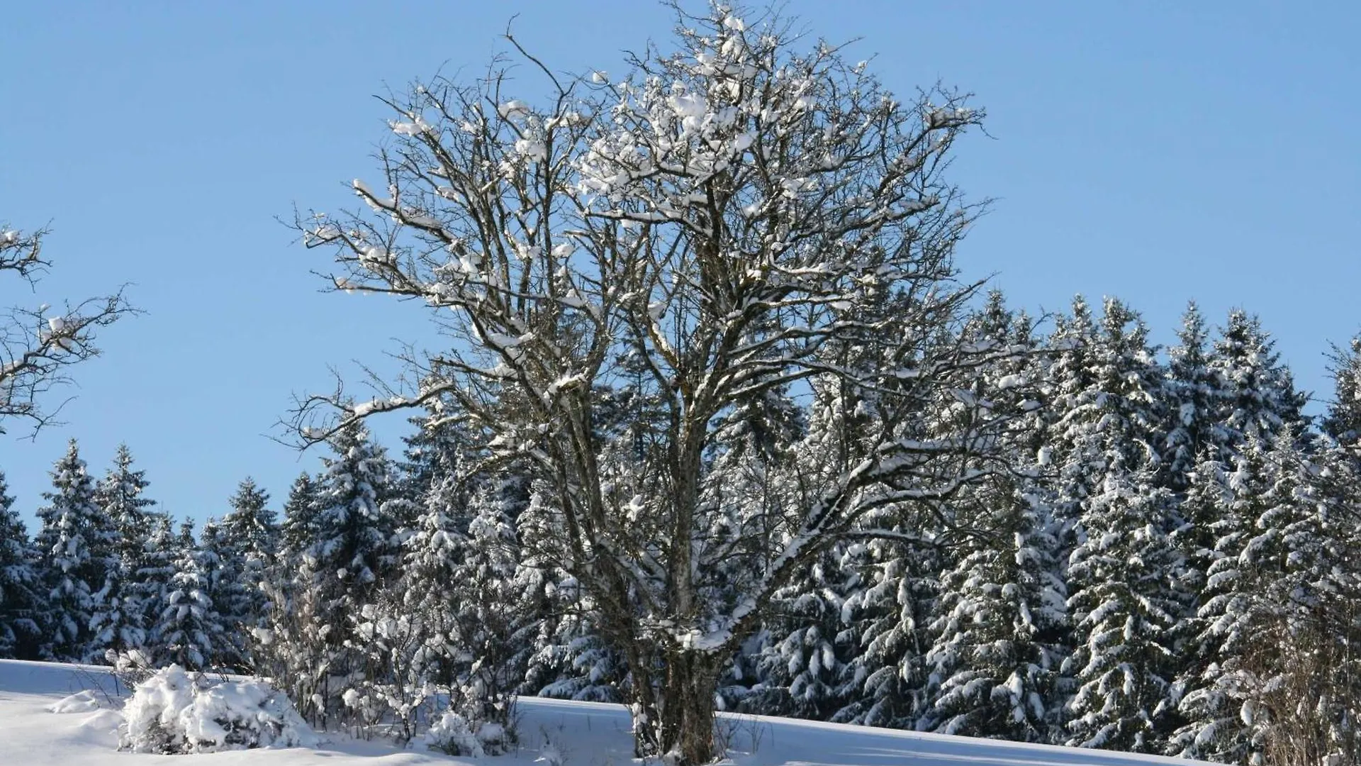 Haus Allgaeu Ruh Goerisried 0*,