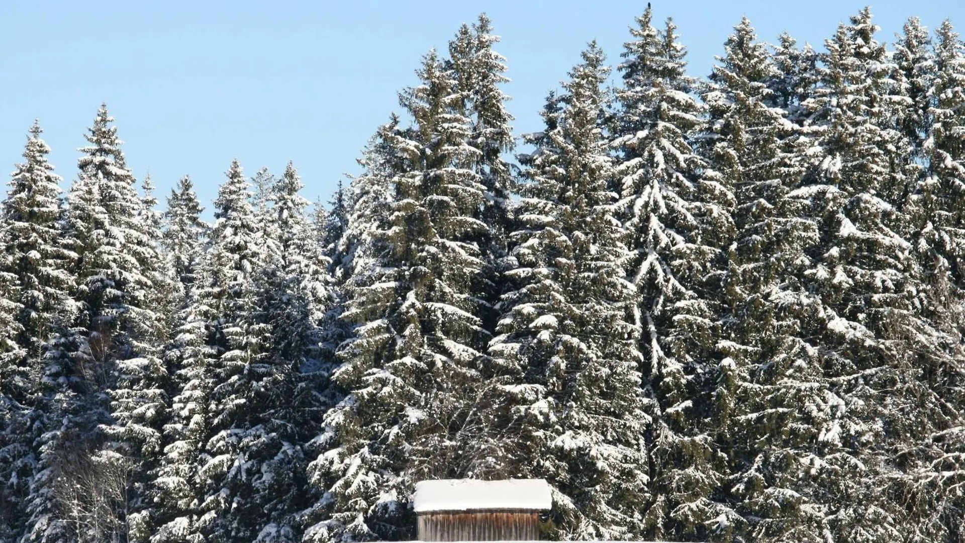 Haus Allgaeu Ruh Goerisried